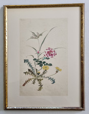 Aquarelle japonaise