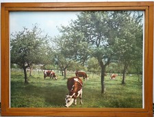 Ancienne affiche scolaire - ancienne,