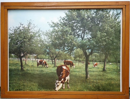 Ancienne affiche scolaire - ancienne,