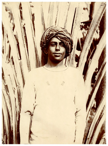 Madagascar jeune indien - jeune,