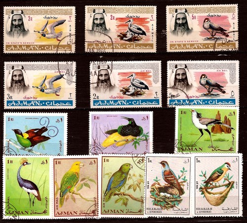 Ajman oiseaux birds - ajman, oiseaux-birds
