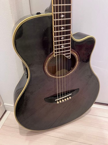 Guitare acoustique électrique