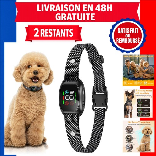 Collier anti aboiement - collier, chien
