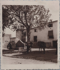 Espagne, Baza, Ânes porteurs près d'une fontaine, Tirage vintage, ca.1930 