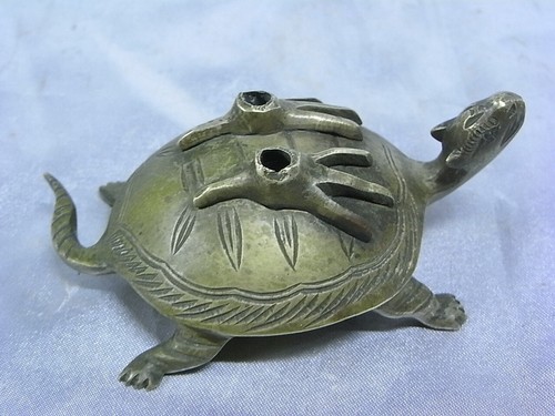 Ancienne tortue - ,