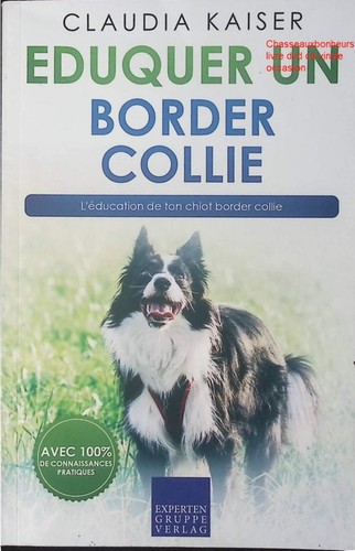 éduquer border collie - un,