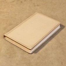 Physique de l'amour, Rémy de