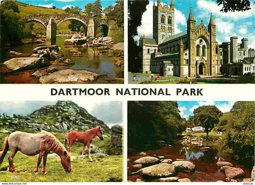 Carte postale animaux - carte,