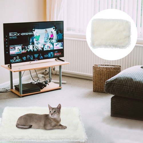 Plaid pour chat - chat, couverture