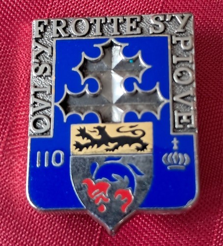 Insigne militaire 110ème - insigne,