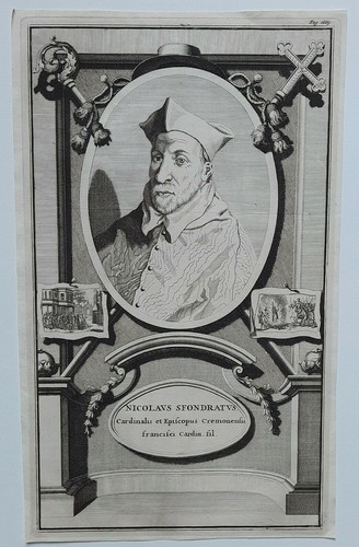 Nicolaus sfondratus cardinalis - nicolaus,