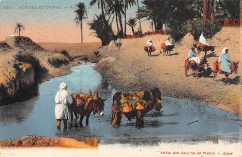 Cpa algerie scenes - cpa,