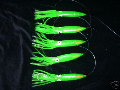 Squid daisy chain offshore - squid,