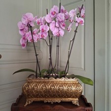 grande jardinière en laiton repoussé Epoque Napoléon III