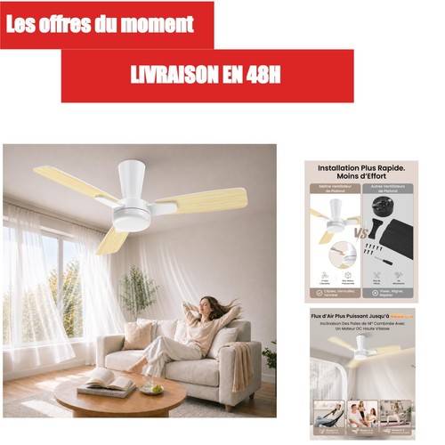 Ventilateur plafond mefine - ventilateur,