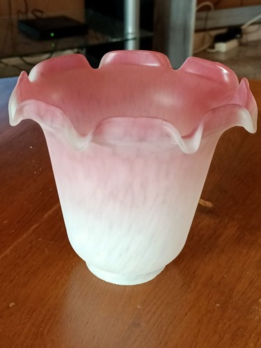 Globe lampe tulipe verre - , h