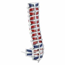 Couverture SIP Nex de Klaxon