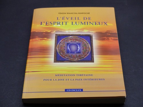 éveil esprit lumineux - l'esprit,
