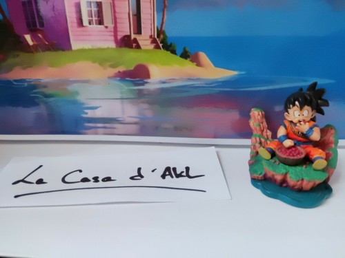 Gohan entrainement avec