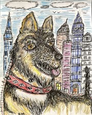 Dessin chien berger - dessin,