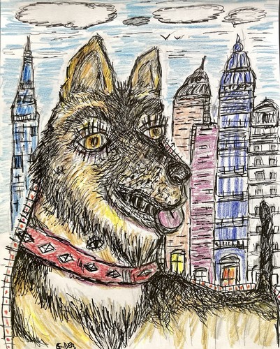 Dessin chien berger - chien, allemand
