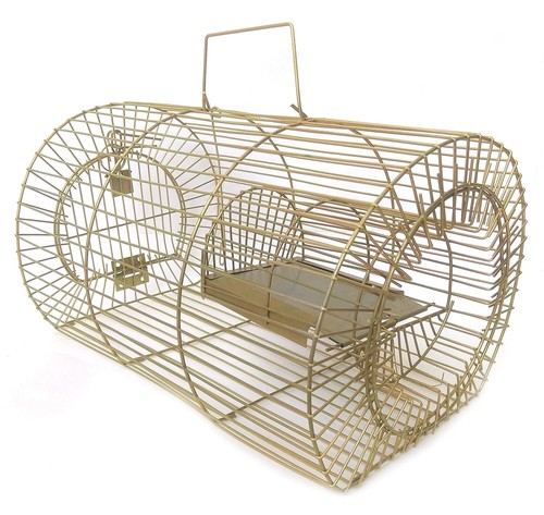 Piège rats cage pour - À,