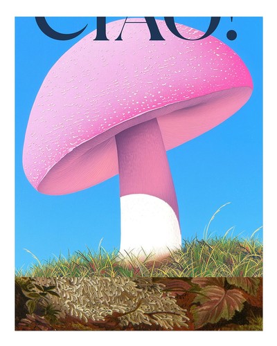Affiche art mural champignon - affiche,