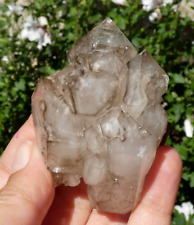 TOP ! Quartz Fumé Cathédrale & Tourmaline 7x4.5cm Brésil minéraux pierre rare