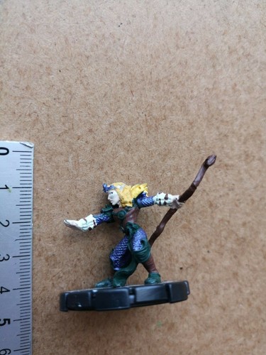 007 elven acolyte - ,