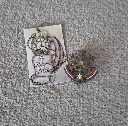 Insigne broche école ski - broche,