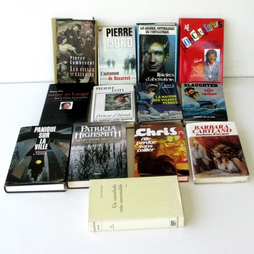 Lot livres romans grand - , 13