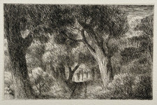 Arbres Foret Chemin ADOLPHE