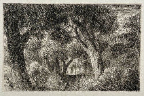 Arbres foret chemin - chemin, adolphe