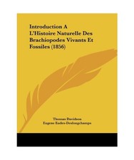 Introduction A L'Histoire