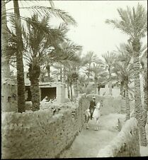 MAGHREB MAROC ALGÉRIE TUNISIE ca 1910, Photo Stereo Plaque Verre VR3L3n6