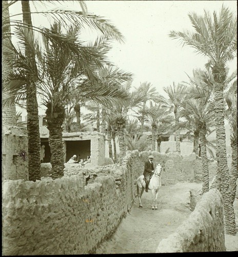 Maghreb maroc algérie - maghreb,