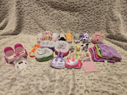 Zhu pets hamster hangout - zhu,