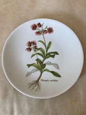 VOHENSTRAUSS Johann Steltmann