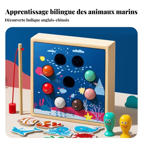 Jeu pêche magnétique - jeu,