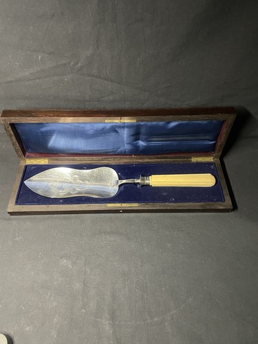 Pelle poisson argent - pelle, à