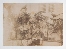 Homme chapeau serre oiseaux