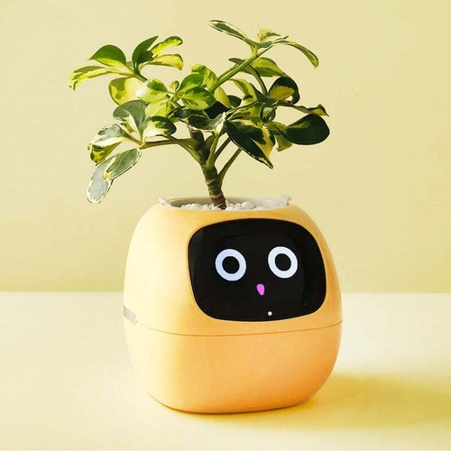 Pot fleur - de,