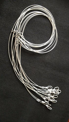 Southern snares beaver - 6,
