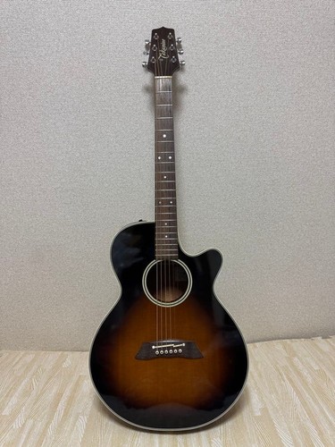 Guitare électrique acoustique