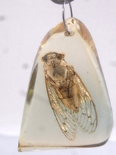 ?? PENDENTIF RESINE VINTAGE ANNEE 70 A INCLUSION AUTHENTIQUE CIGALE INSECTE