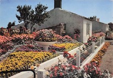 85 VENDEE MAISON FLEURIE