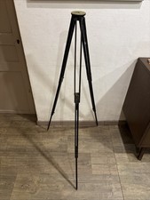 Trepied Bois Chambre