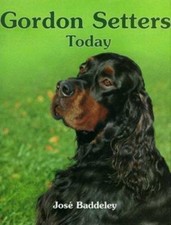 Gordon Setters Today -