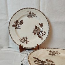 Plats Ronds Terre De Fer Sépia Grand Dépôt Émile Bourgeois