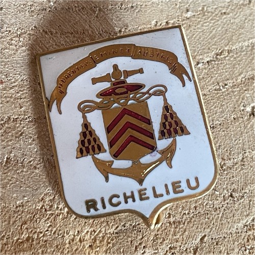 Insigne badge marine france - badge,